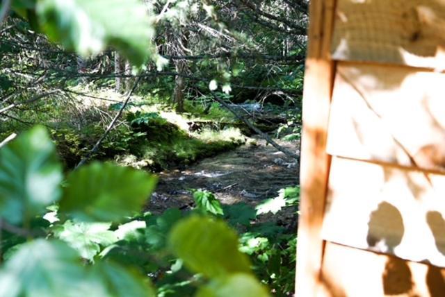 Hope Alaska'S Bear Creek Lodge Exteriör bild