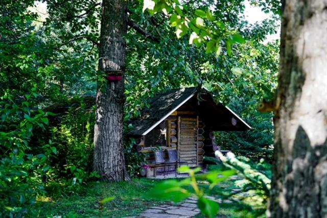 Hope Alaska'S Bear Creek Lodge Exteriör bild