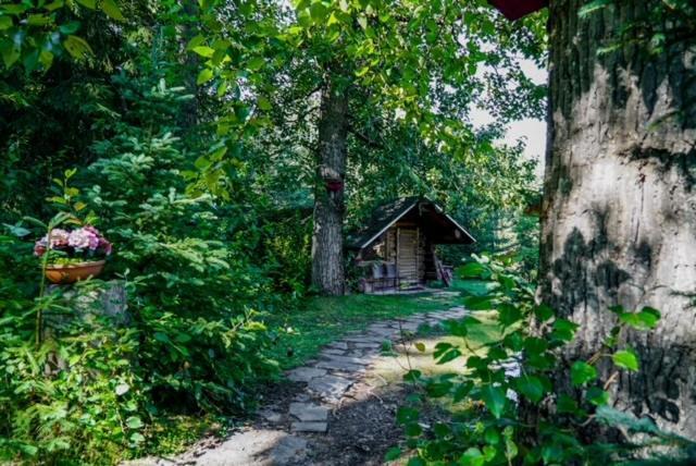 Hope Alaska'S Bear Creek Lodge Exteriör bild